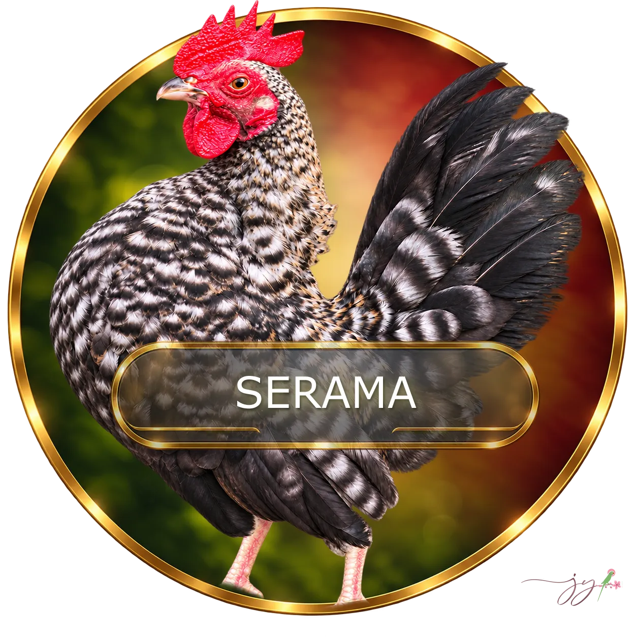 Galinha Serama do Criatório Jo Yama