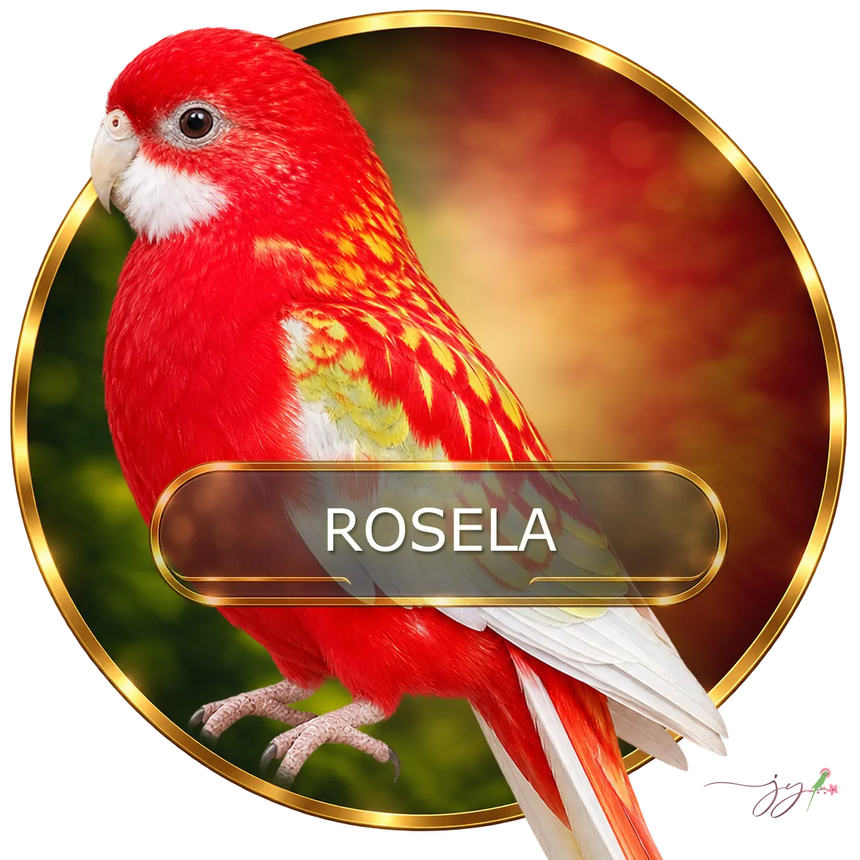 Rosela