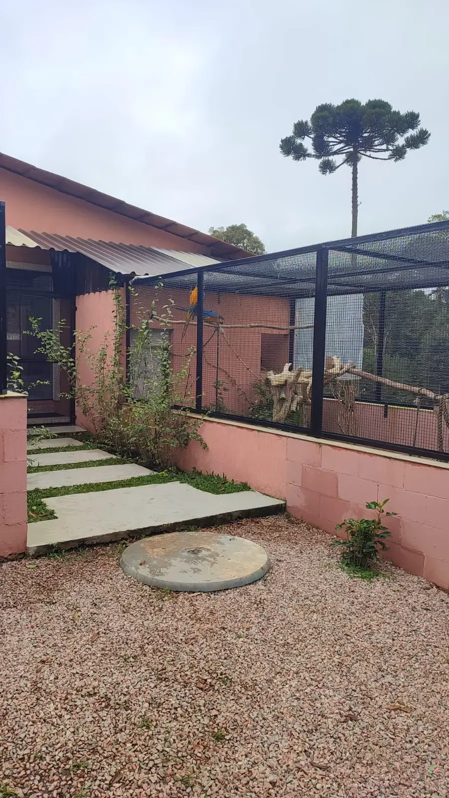 Galeria Criatório Jo Yama