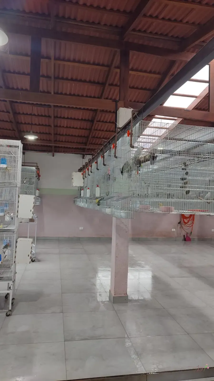Galeria Criatório Jo Yama
