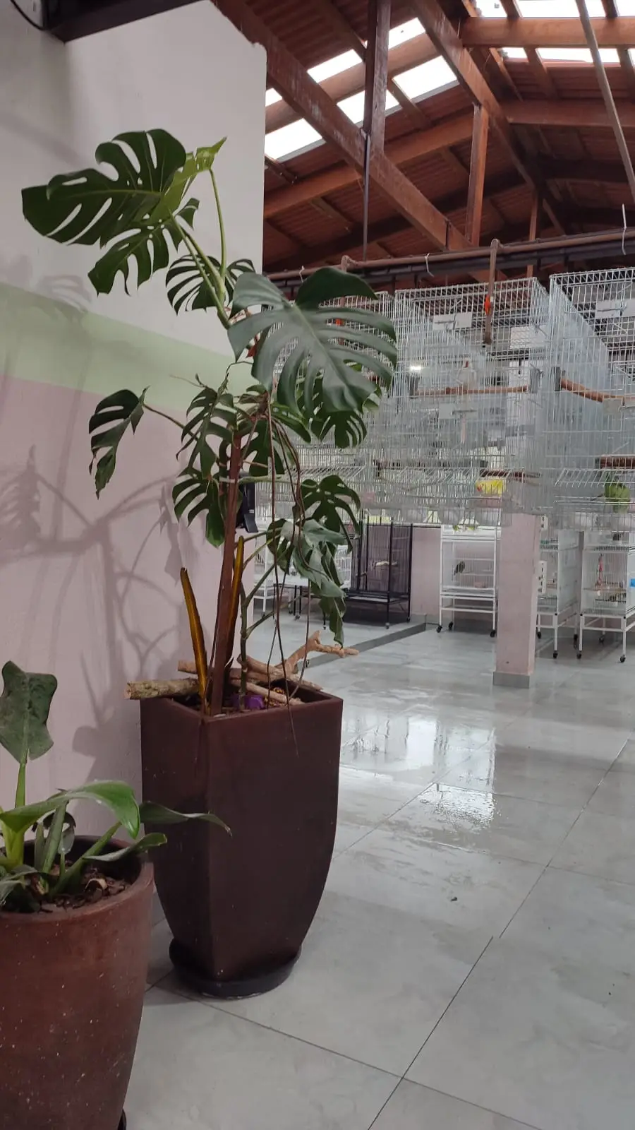 Estrutura do criatório