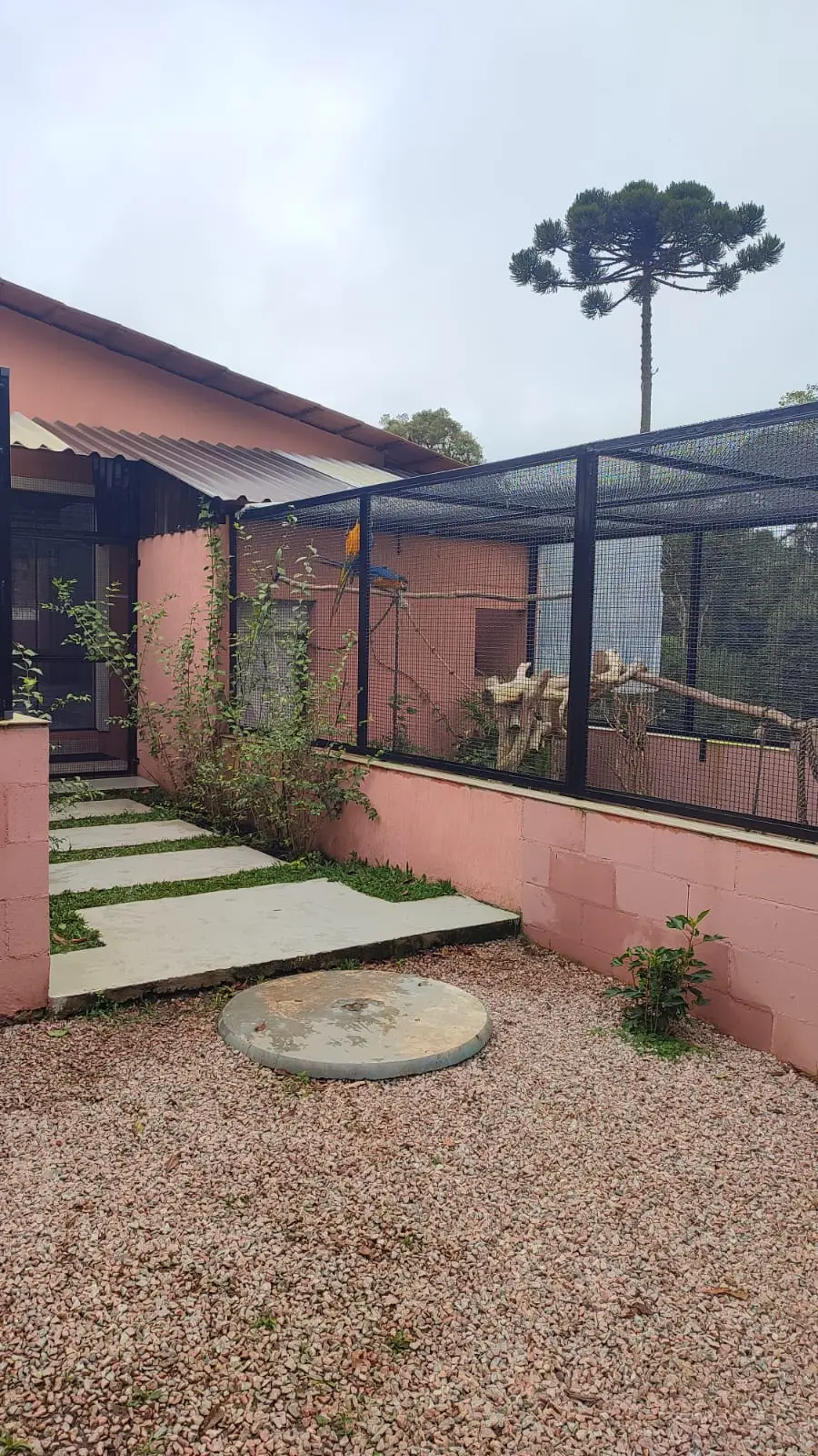 Criatório Jo Yama - Estrutura